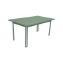 Table Costa 160 x 80 Fermob Cactus