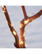 Guirlande lumineuse Jason 80 leds SIRIUS