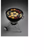 GRILLE GOURMET 3 WEBER