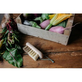 Brosse à légumes naturelle Andrée Jardin en bois de hêtre avec fibres de tampico et bassine