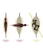 Hamac Personal 102 Dim.220*140 Total 335CM PROLOISIRS