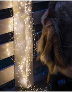 Guirlande en cascade 350 LED blanche - SIRIUS