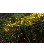 Guirlande lumineuse Knirke 350 leds SIRIUS