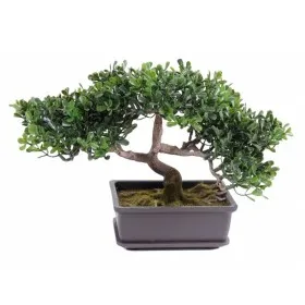 Bonsaï artificiel Thé h22cm - VERT ESPACE