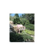 Fauteuil Repas Trill Nardi