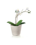 Cache-pot en plastiques recyclés Ø12,8 x 12 cm - GUZZINI