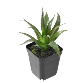 Plante artificielle succulente agave H20 cm - VERT ESPACE