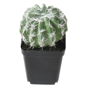 Plante artificielle cactus 8 x 12.5cm - VERT ESPACE