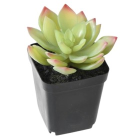 Plante artificielle succulente basse 9.5 x 12.5 cm - VERT ESPACE