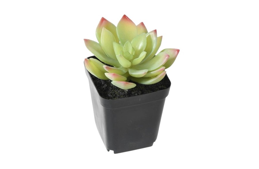 Plante artificielle succulente basse 9.5 x 12.5 cm - VERT ESPACE