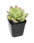 Plante artificielle succulente basse 9.5 x 12.5 cm - VERT ESPACE