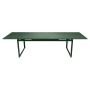 Table de jardin extensible BIARRITZ 200/300x100 cm / 14 places - FERMOB