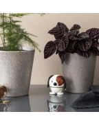 Figurine à ressort CHIEN - HOPTIMIST