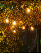 Guirlande lumineuse TOBIAS 10 ampoules LED - SIRIUS