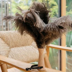 Petit plumeau à main Andrée Jardin en bois de hêtre et plumes d’autruches pour dépoussiérage précis