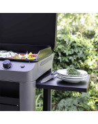 Plancha à gaz COMBO FUSION 60 gris cargo ENO avec chariot et tablettes rabattables
