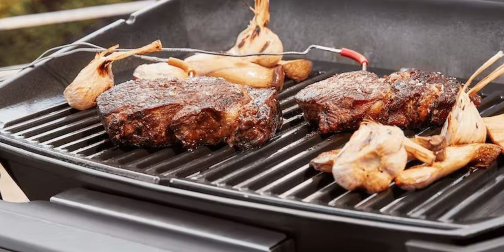 Conseils Barbecue & Plancha