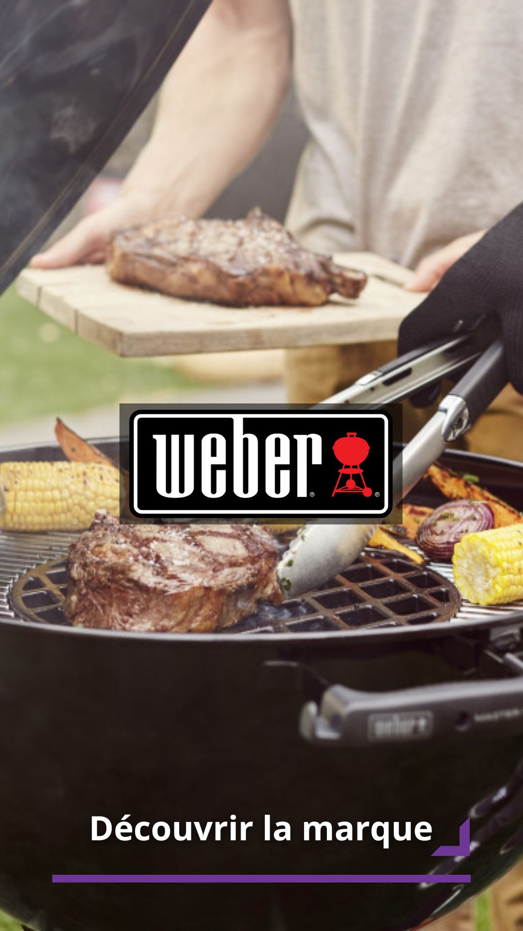 Weber - Barbecue à gaz Spirit E315 avec plancha - Gamm vert